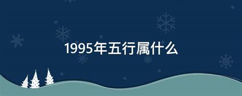 1995五行